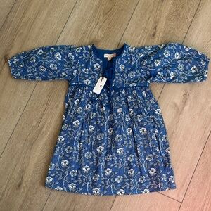 Pink Chicken Blue and White Floral Dress